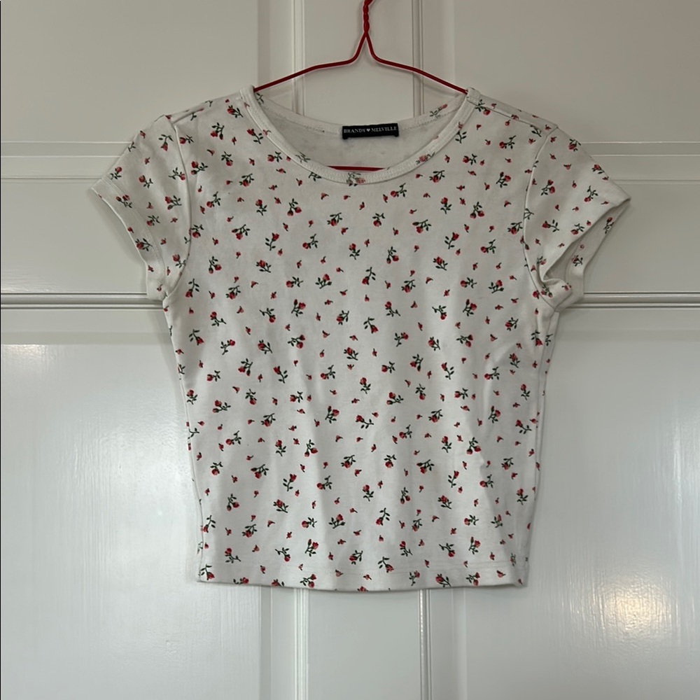 Brandy Melville White Cap Sleeve Crop Top with pink and red roses